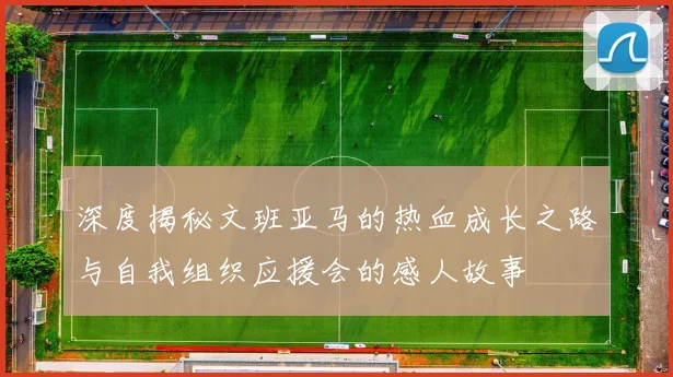 深度揭秘文班亚马的热血成长之路与自我组织应援会的感人故事